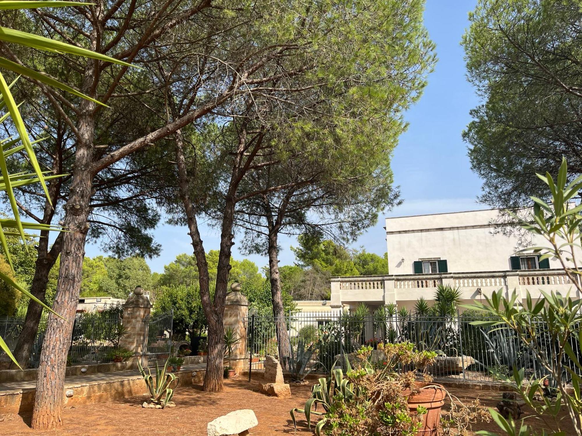 Masseria La Camardia Сава Экстерьер фото