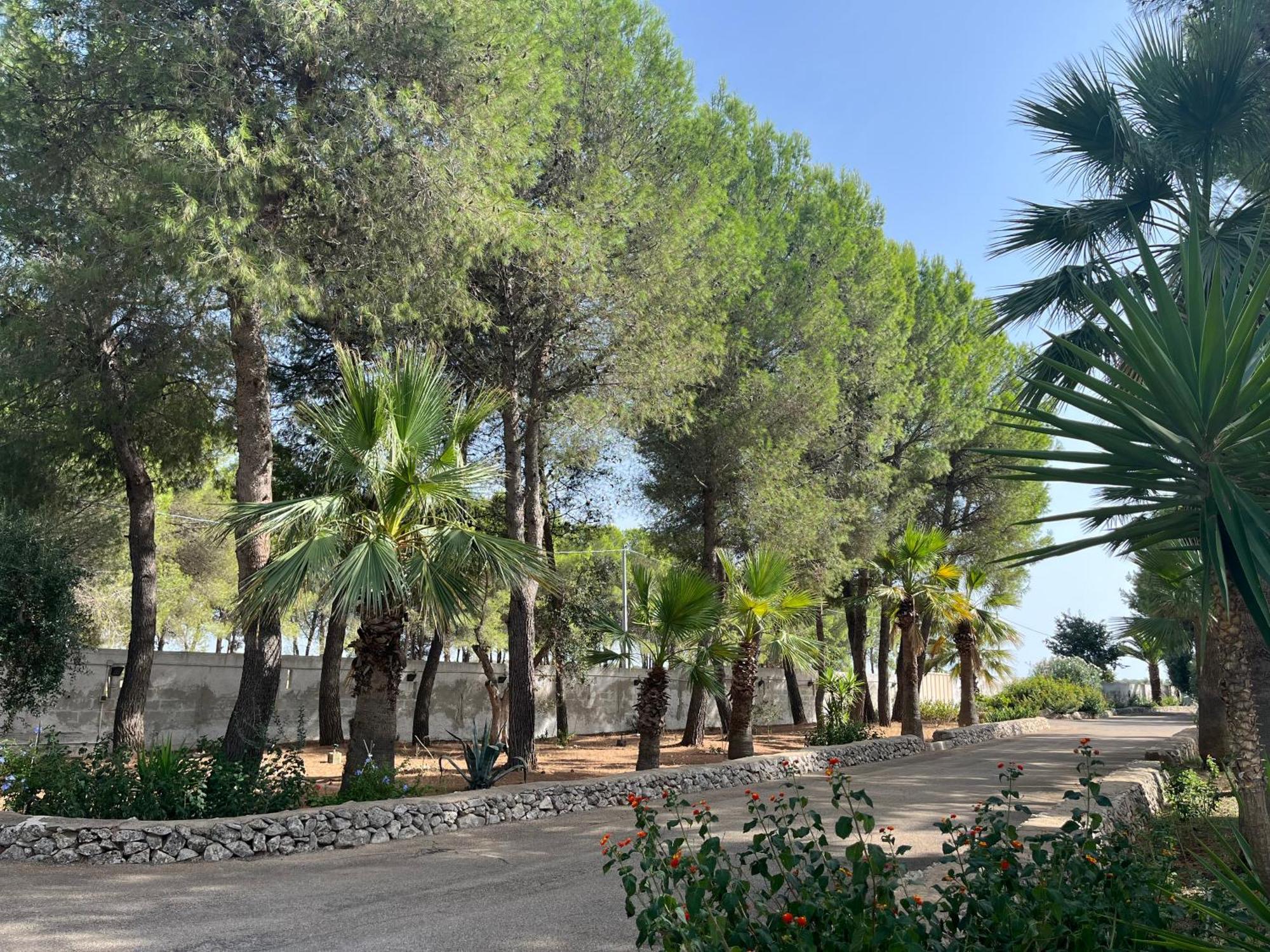 Masseria La Camardia Сава Экстерьер фото