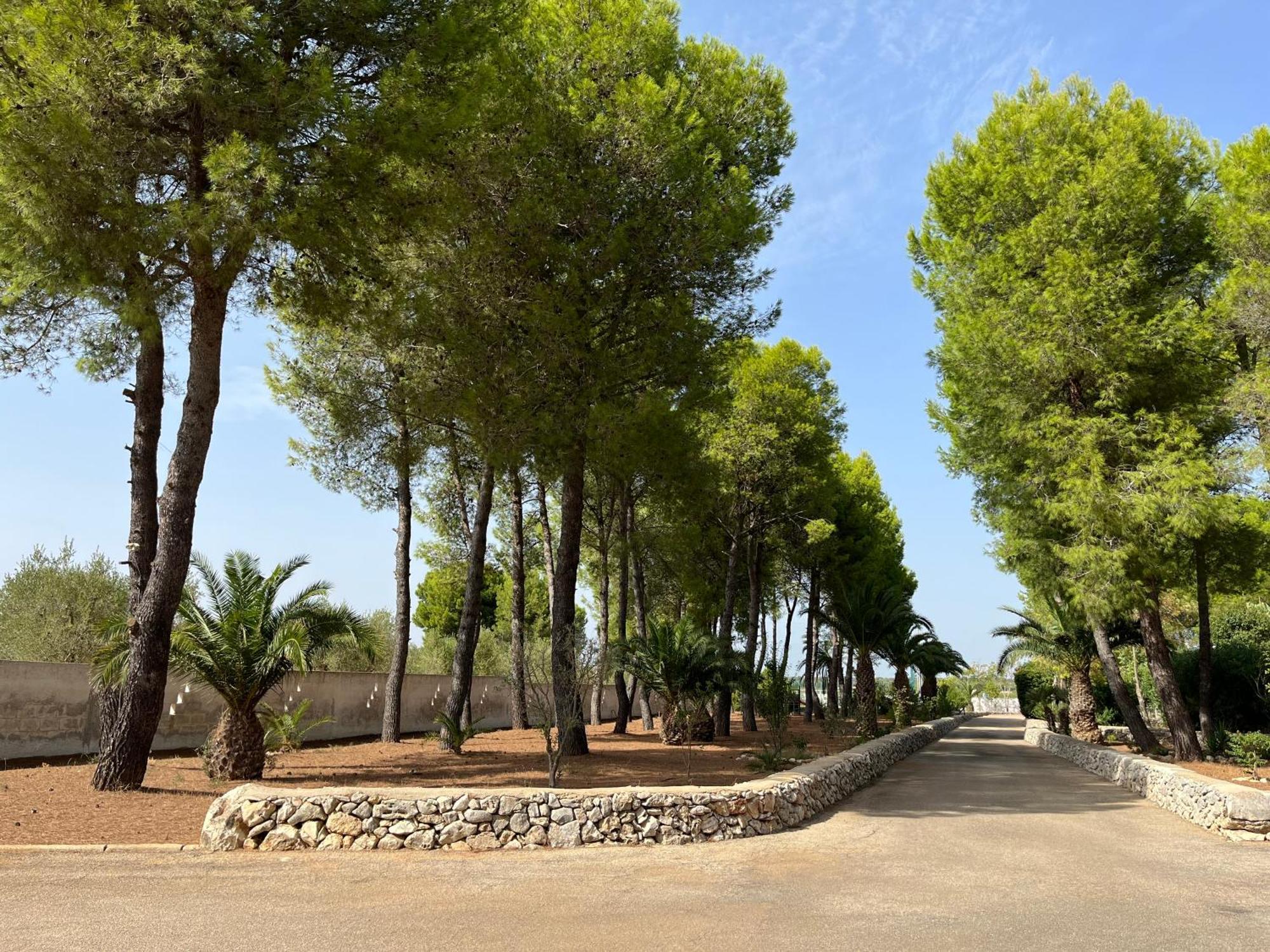 Masseria La Camardia Сава Экстерьер фото