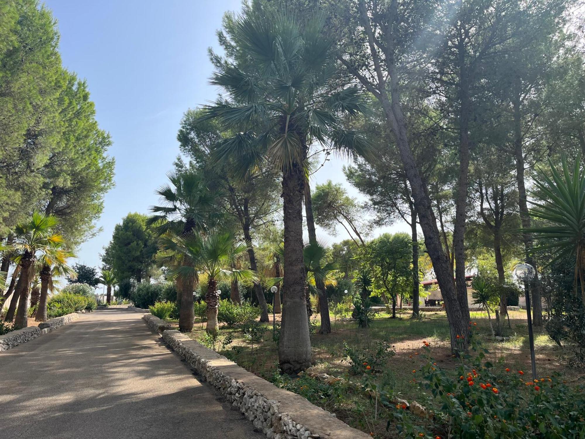 Masseria La Camardia Сава Экстерьер фото