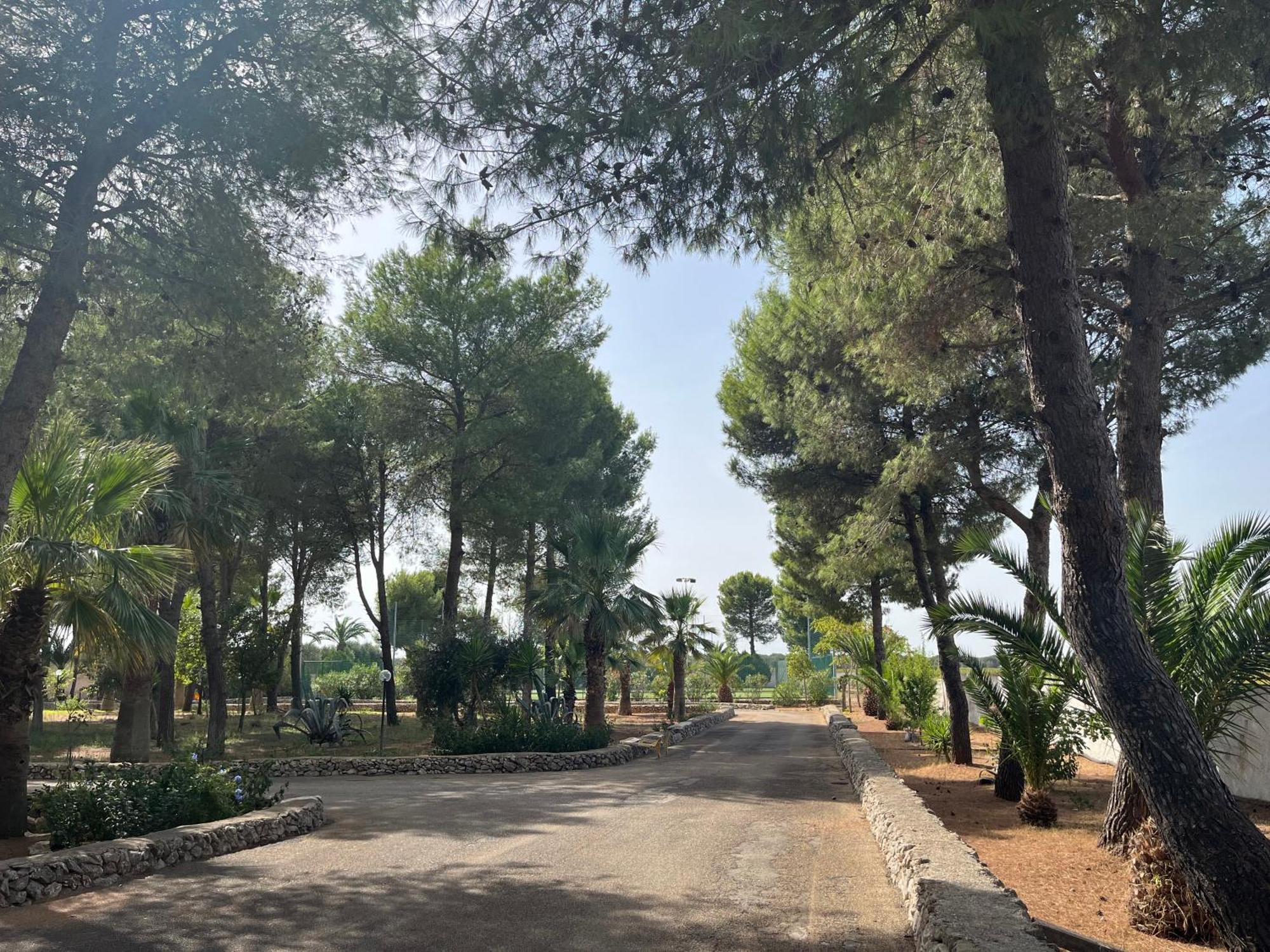 Masseria La Camardia Сава Экстерьер фото