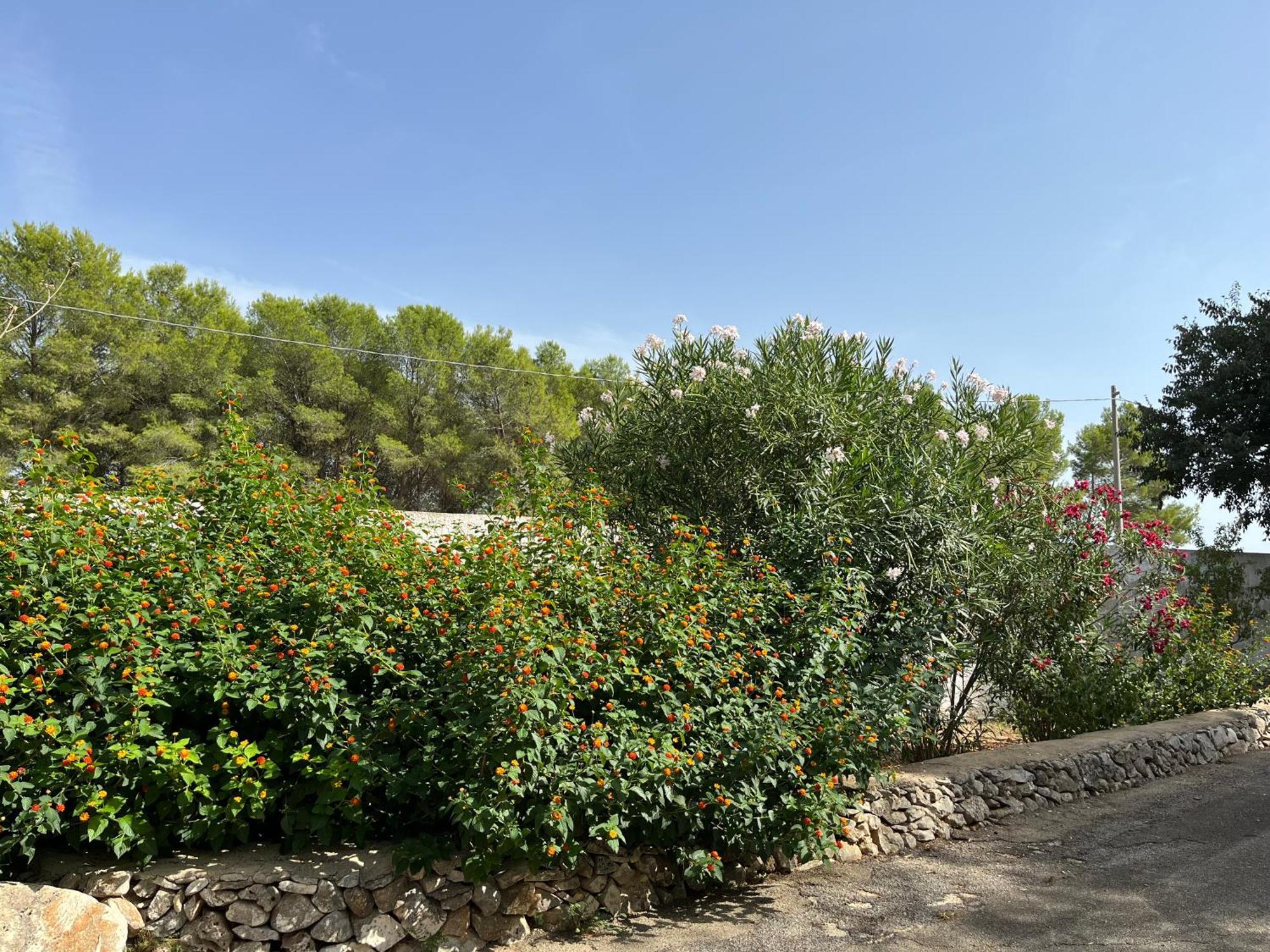 Masseria La Camardia Сава Экстерьер фото