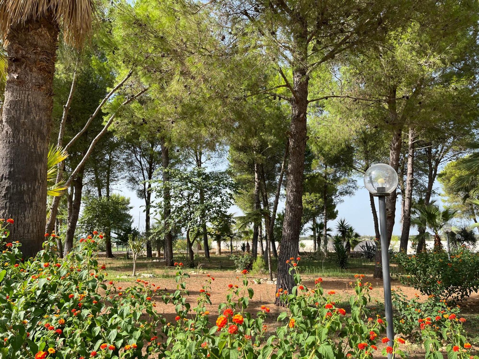 Masseria La Camardia Сава Экстерьер фото