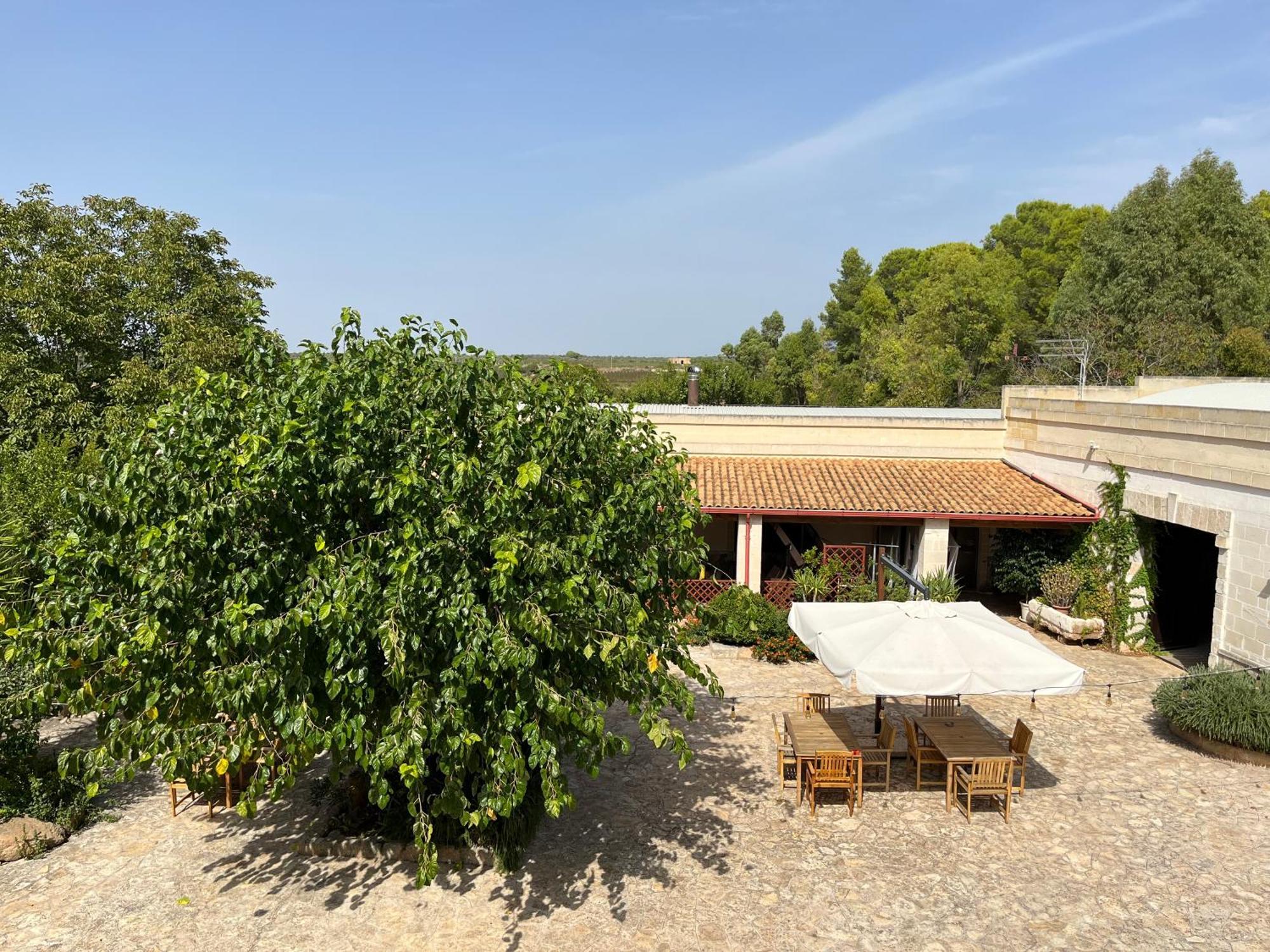 Masseria La Camardia Сава Экстерьер фото