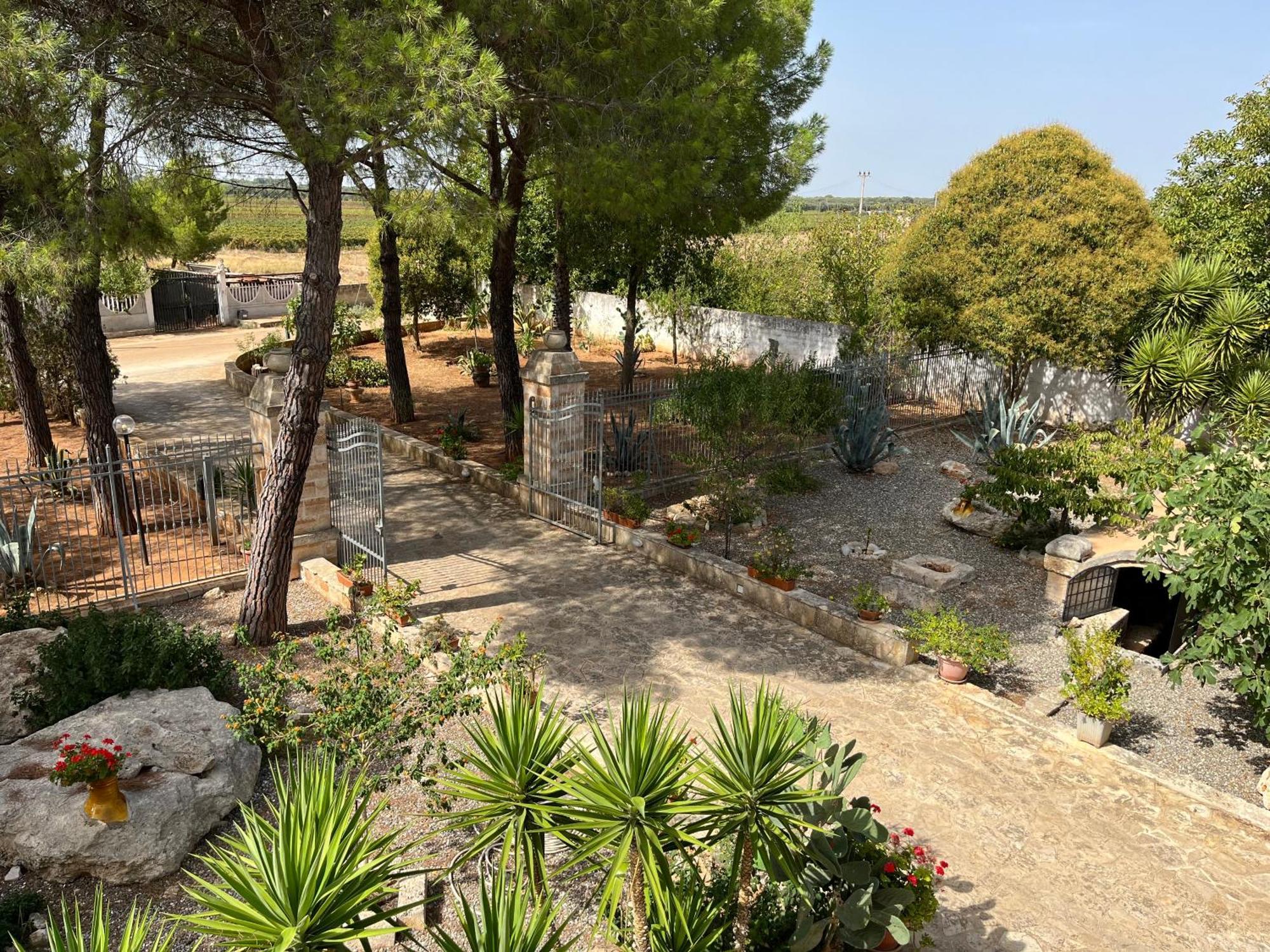 Masseria La Camardia Сава Экстерьер фото